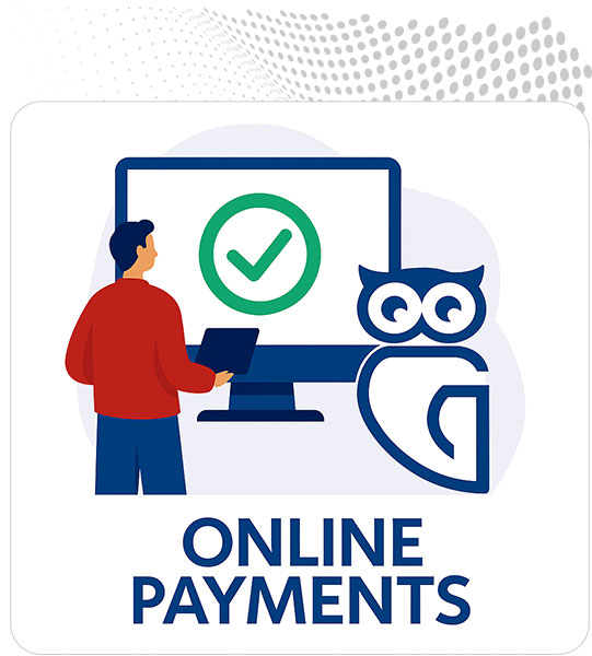 GovOwlPay showing online payment screen for permits and fees